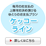 �P�b�R�[���C��