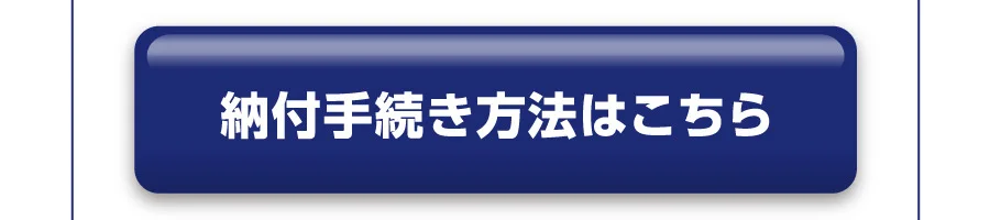  国税 クレジットカードお支払サイト　納付手続きの流れ