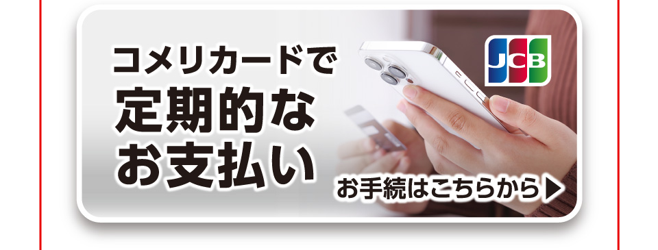 定期的なお支払い
