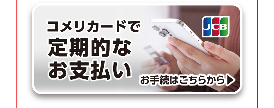 定期的なお支払い