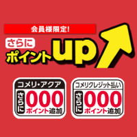 ポイントUP