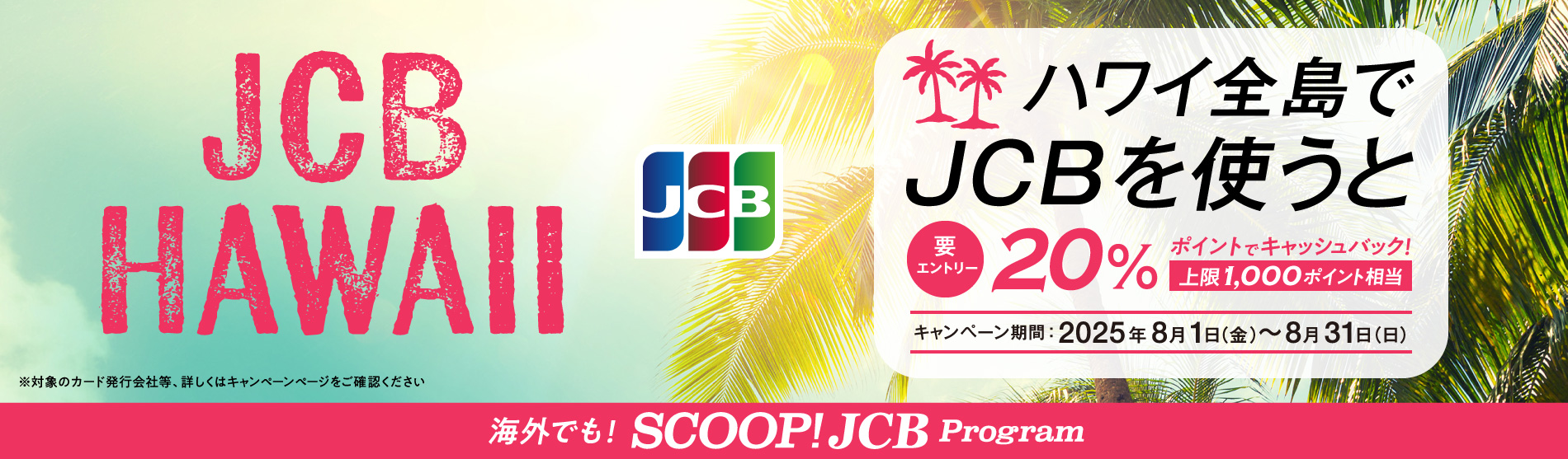 nCSJCBg20LbVobN