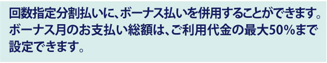 ボーナス併用分割払い