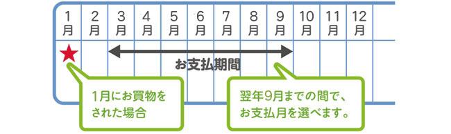 スキップ払いお支払例